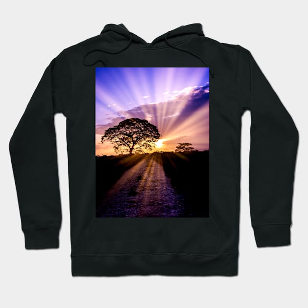 beautiful sunset in Venezuela Hoodie by rickylabellevie